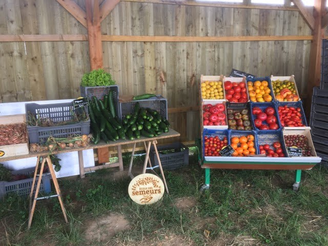 La formation est ouverte à des jeunes de 14 à 18 ans souvent en rupture avec le système scolaire. L’objectif est de les former sur tout le circuit des primeurs à l'Ecole des Semeurs